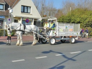 Plusieurs villes ont signé pour la collecte des journaux et cartons effectuée par des chevaux.