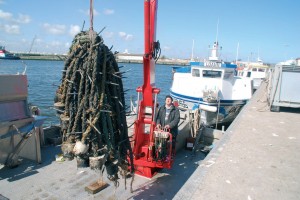 Les moules sont élevées sur cordes, dans une concession en pleine mer au large de Zuydcoote. Les huîtres le seront aussi.