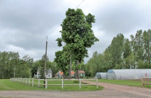 Superbe cadre historique pour la station de recherche de Beuvry-la-Forêt.