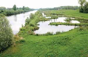 Le bord à canal de l’Escaut propose plusieurs sites propices à une STEP développement durable, mais le dossier Oval cumulait trop de handicaps.