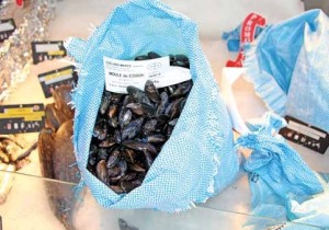 50 tonnes de moules ont été vendues cet été.