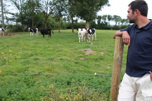 Les veaux s'émancipent dans des patûres bien gérées.