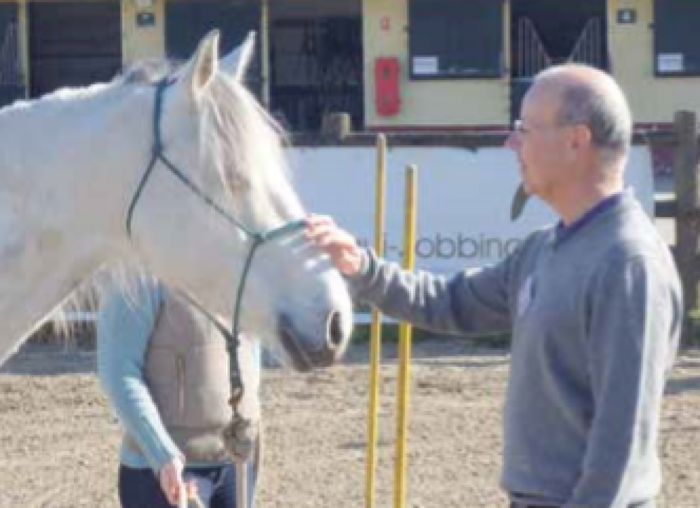 Prendre confiance en soi, apprendre à bien manager à l’aide des chevaux, voilà ce que propose Jobbing Partner avec sa nouvelle méthode de formation.