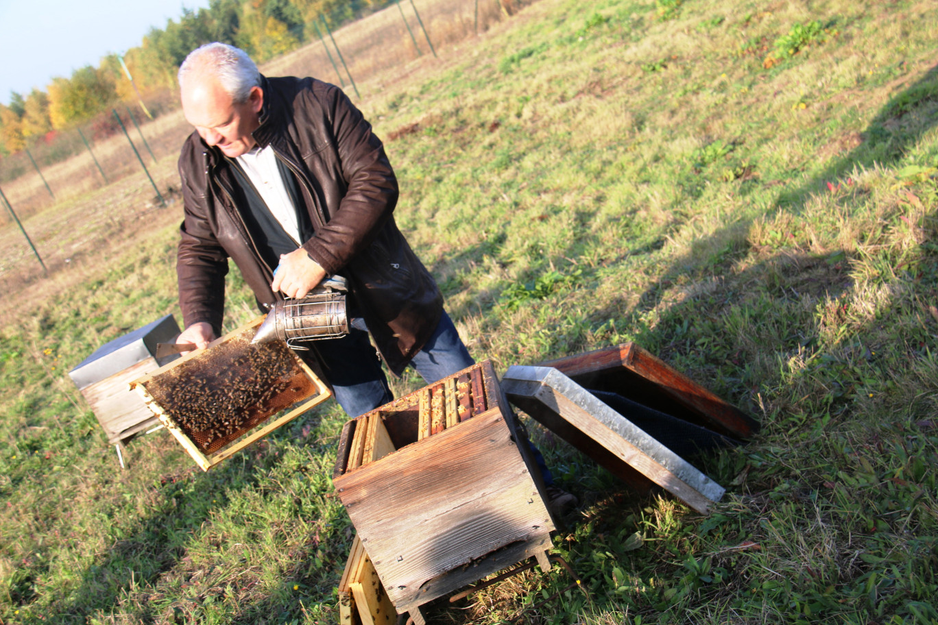 Pascal Denis a présenté au public présent son métier d’apiculteur (400 ruches dans la région).